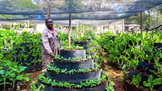 Richest Organic Storey Garden Farmer | Simple thinking but Rich Pockets