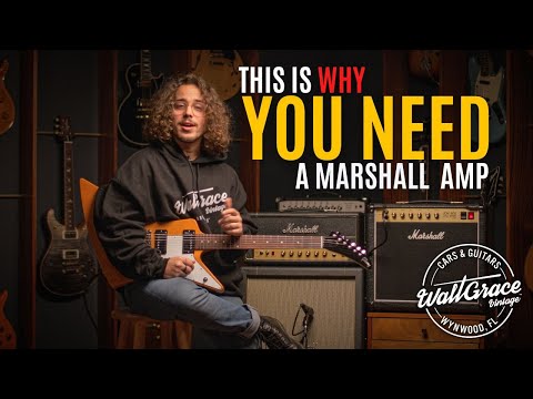 The Two Classic Marshalls Every Guitarist Must Experience