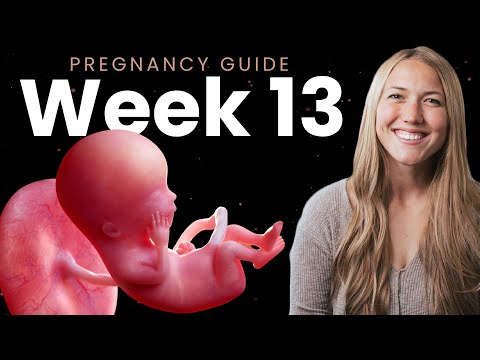 13 Weeks Pregnant | Week By Week Pregnancy