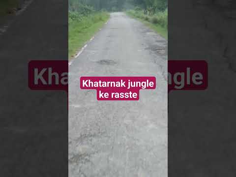 khatarnak jungle #shortsviral #shortsvideo #trendingshorts #trendingshorts