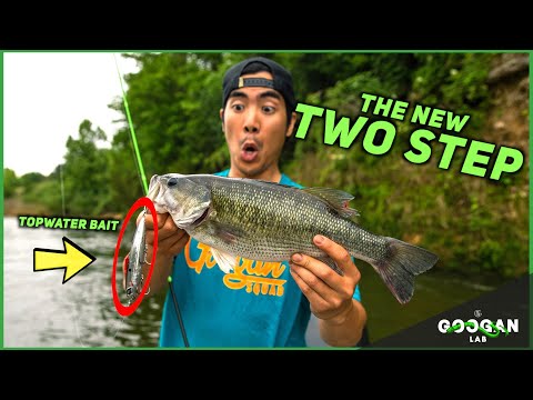 The BEST TOPWATER Fishing LURE! ( Fishing Tips )