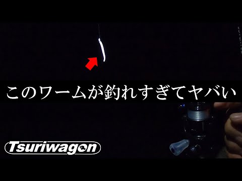 このワームで秋のアジングがイージーになっちゃいます【11月下旬　アジング】Japanese amberjack