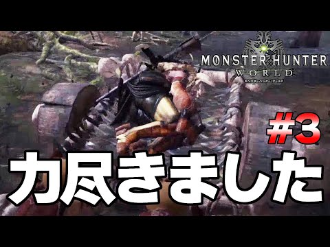 モンハンワールド最序盤でタカティン力尽きる #３『MHW:モンスターハンターワールド：アイスボーン』