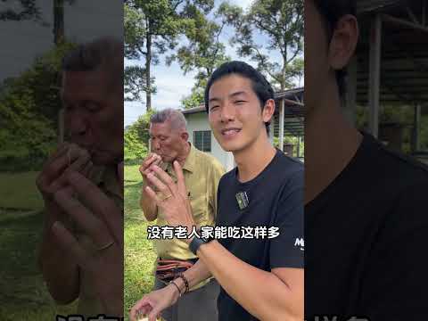 跟爷爷开了3种甘榜榴莲，好像开盲盒一样开出了3种味道，3种体验 #盲盒体验 Part4 #shorts 【马来堂哥】#马来西亚