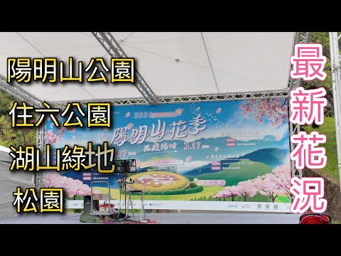 陽明山花季來了 最新花況 - 陽明山公園 / 住六公園 / 松園 / 湖山綠地, Superrobertliu