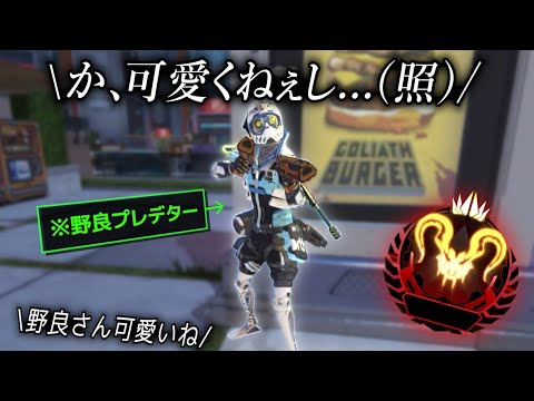 ツンデレ過ぎる野良プレデターが可愛いw【APEX】