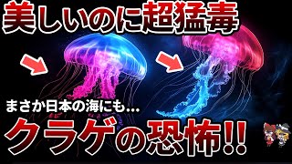 「ふわふわ綺麗」が命を奪う!? 世界の毒クラゲ10選【ゆっくり解説】