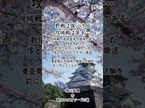 徳川家康の面白エピソードと名言 #名言 #雑学 #名言シリーズ