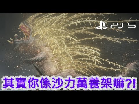 黃金樹幽影#4 - 似曾相識的黃金河馬