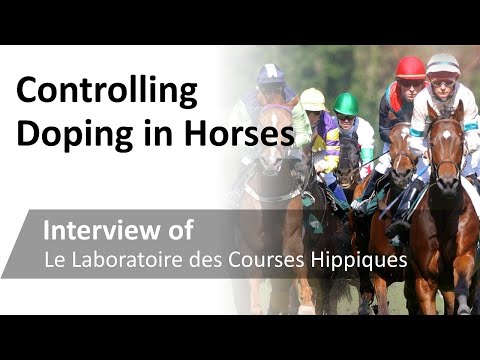 Controlling Doping in Horses - Interview of Le Laboratoire des Courses Hippiques