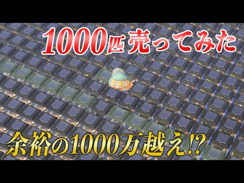 【あつ森】レアな生き物を大量に売ったら1000万越え？！離島で捕まえた高額な値段の魚や虫を売ってお金稼ぎ！レックスやジャスティンに売って効率よく稼ぐ方法【あつまれどうぶつの森　生き物　コンプリート】