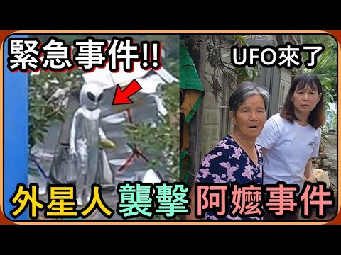 【Ru儒哥】緊急事件‼️鄉村阿嬤受到了外星人的襲擊，居然偷她種的菜…阿嬤火大了🤣