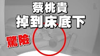 【蔡桃貴】掉到床底下！監視器拍下驚險畫面，蔡阿嘎二伯 七秒抵達現場！(1Y1M4D)