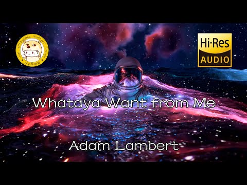 Adam Lambert-Whataya Want from Me「What do you want from me」动态歌词