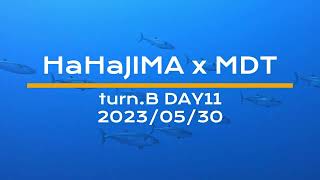 2023年母島MDツアーB日程　11日目