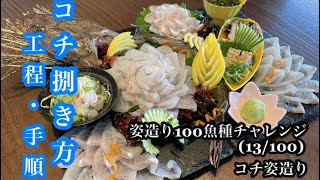 『姿造り100魚種チャレンジ』(13/100)コチの姿造り