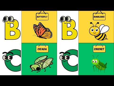 ABC Insect Song 🐜 | Learn Insects A to Z | Fun Educational Song for Kids | #abcd #kids