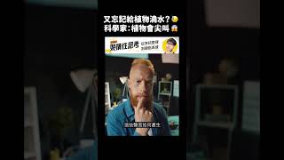 又忘記給植物澆水？😓科學家：植物會尖叫😱｜志祺七七 #shorts