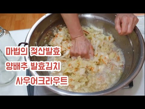 유산균 듬뿍, 사우어크라우트 만드는  방법,풍부한 유산균, 기분 좋은 아삭함