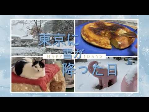 東京に雪が降った日 epi.9　 #猫とこたつ ＃vlog ＃パンケーキ ＃保護猫