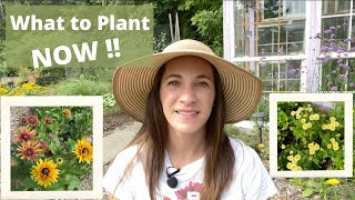 Planning for Spring NOW! 🌱 Fall Planting Cool Flowers and Perennials 🌺