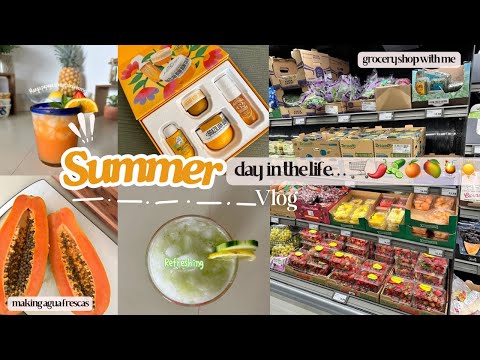 A SUMMER DAY-Aldi Grocery shop with me, 🥒🍋Making aqua frescas  #summer #aguafresca #groceryshopping