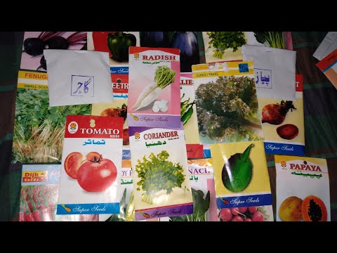 Winter vegetable seeds top 10 vegetable seeds which youare growing in winter