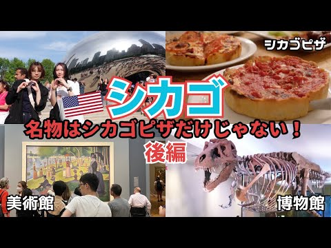 シカゴ観光名所をお得に巡る女子旅🇺🇸｜シカゴ美術館｜フィールド博物館｜シカゴピザ｜ミイラ