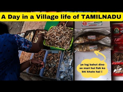 A Day in Village life of Tamilnadu | village life vlog | South india Trip |