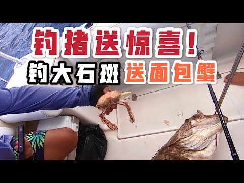 海钓大石斑鱼，拉力相当过瘾，没想到还附赠面包蟹。Slow pitch jigging giant grouper at Andaman sea