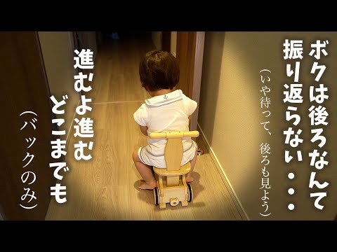 【手押し車】後ろにしか進めなくて事故起こしまくりでヒヤヒヤ😱【１歳４ヶ月の日常】