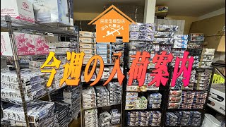 【プラモデル】今週の入荷案内【2024/12/27】