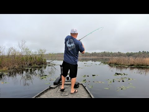 Bass fishing, ZOOM speed worm!