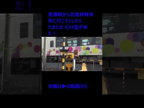 たまたま 634型(スカイツリートレイン)が来た！ (撮影 2023年10月29日 13時22分 渡瀬駅付近) #shorts