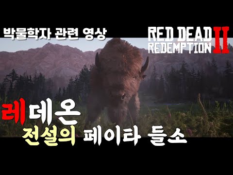 레데리2 온라인) 박물학자 관련 ★전설의 페이타 들소 사냥★ 제일좋아하는 동물중 하나!!