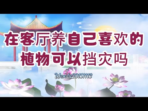 在客厅养自己喜欢的植物可以挡灾吗？玄艺问答Wenda20151113 28:00【心灵法门】观世音菩萨、卢台长