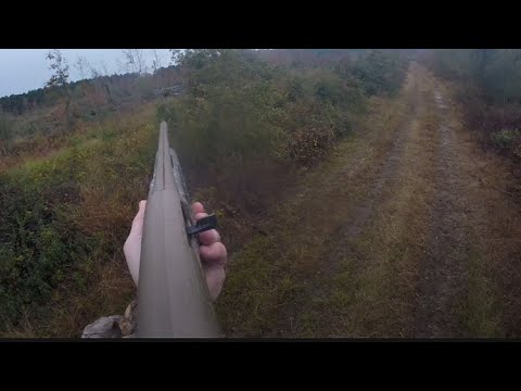 SC Deer Dog Drive 9/6/21: Brad kills a buck!