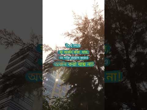 #shortsvideo #status #bangla #viralvideo