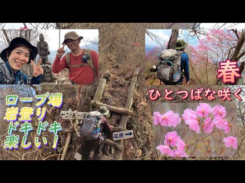 【登山】群馬百名山 春ひとつばな咲く四ッ又山～鹿岳 ロープ場 鎖場 眺めよし！山歩き