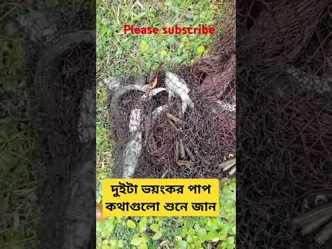 দুইটা ভয়ংকর পাপ এর কথা বলি শুনে জান আপনি কি জড়িত আছেন 🕋🕋🤲🥰😱🥀#shorts #trending #shortsfeed #fishing