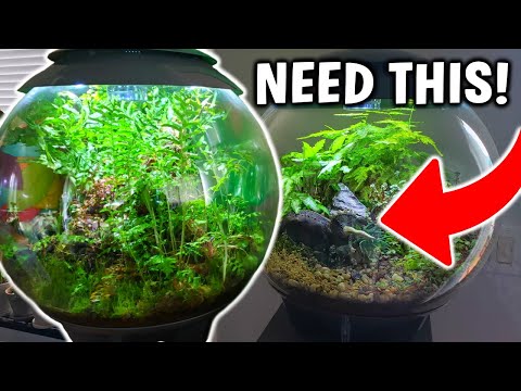 Why YOU NEED THIS If You Love Aquariums!