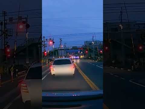 警報器鳴ってても突っ込む🚗