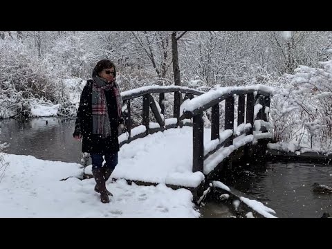 Enjoying Snowfall (James Garden Ontario) Have you ever seen a snowflakes? Stay tuned...