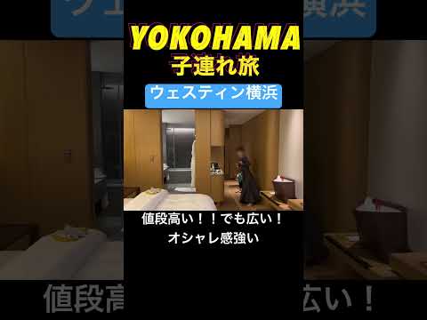 横浜Vlog #横浜#アンパンマンミュージアム#コスモワールド#yokohama #こども