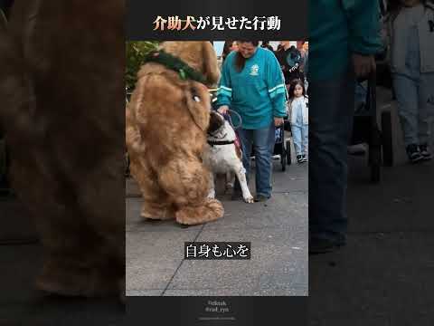 ディズニーのキャラクターに出会った介助犬の行動