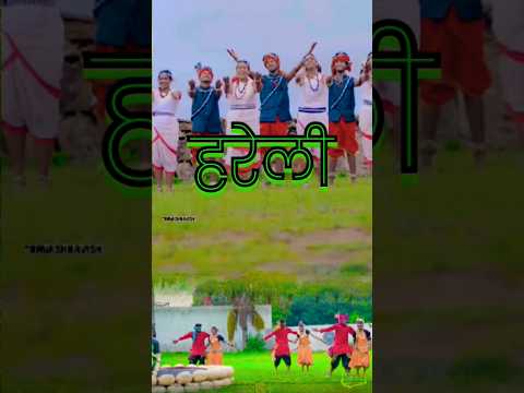 Hareli Manalaw ji | हरेली मनालव जी | Anurag Sharma | CG Hareli Tihar | CG Song #trending #shorts #cg