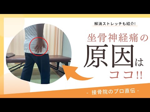 【歩くとツライ坐骨神経痛】歩いていると段々、腰から足に痛みと痺れが出てくる。立っていると次第に腰から足に痛みと痺れがくる動いていると段々と腰が痛くなってくる。そんな方へのストレッチ！