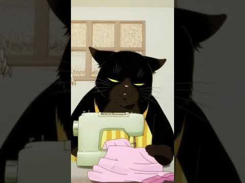 🐱FIXES👗 | The Masterful Cat is Depressed Again Today Episode 4 #themasterfulcatisdepressedagaintoday