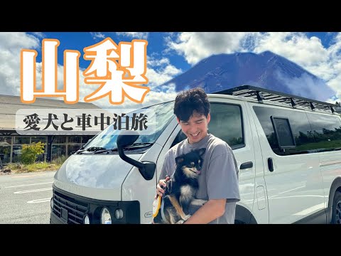 Japanese Road Trip Adventure With Our Dogs!(Yamanashi)