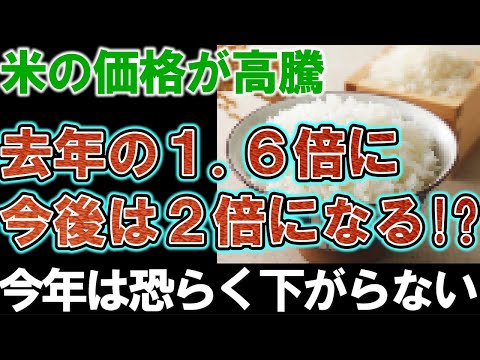 【悲報】米の価格が１.６倍以上に！「もう店が潰れちゃう」飲食店の悲鳴が続出。